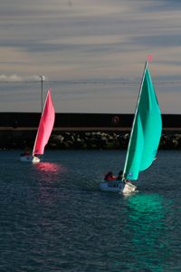 Green and Purple Access 303 Dinghies sailing in Carrickfegus Harbour