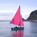 Pink Access 303 Dinghy sailing at Whitehead