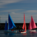 Light Blue, Red and Pink Access 303 Dinghies sailing in Carrickfergus Harbour