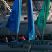 Light Blue and Green Access 303 Dinghies sailing in Carrickfergus Harbour