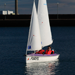 Purple 303 Dinghy sailing in Carrickfergus Harbour