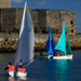 Purple, Light Blue and Green Access 303 Dinghies Sailing in Carrickfergus Harbour