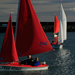 Red, Orange and Purple Access 303 Dinghies sailing in Carrickfergus Harbour