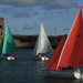 Orange, Purple and Green Access 303 Dinghies sailing in Carrickfergus Harbour