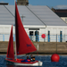 Pink Access 303 Dinghy Sailing in Carrickfergus Harbour
